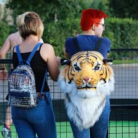 Город и его обитатели :: Владимир59 