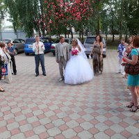 СВАДЬБА :: СЕРГЕЙ ФИЛОЧКИН