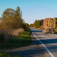 Откуда дровишки?- Из лесу вестимо :: Роман никандров