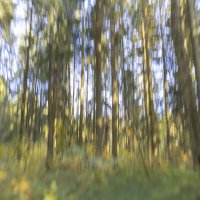 Беспричинная радость :: Андрей Город