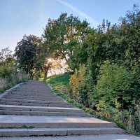 Подъём в Летний сад. :: Лия ☼