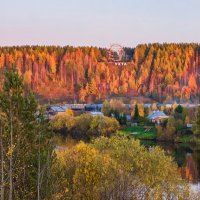 Золотая осень в Ухте, Коми. :: Николай Зиновьев