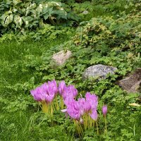 Октябрь в красках :: Андрей 