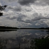 *** :: Сергей Серый