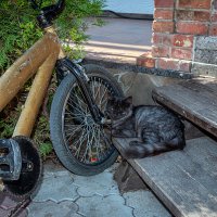 На крылечке твоем :: Юрий Яловенко