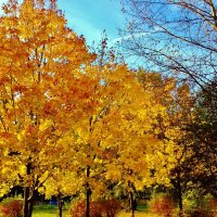 красивая осень :: Владимир 