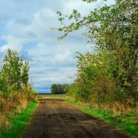 Октябрь. :: Владимир 