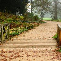 Осенняя прогулка :: Юрий. Шмаков