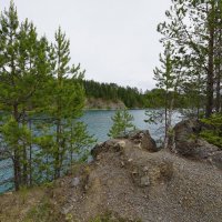 *** :: Николай Гирш