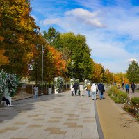 Осень в Коломенском :: Ольга 