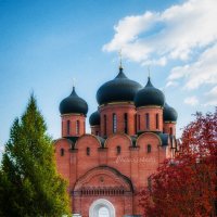 Успенский Свято-Георгиевский монастырь святые кустики. :: arkadii Успенский Свято-Георгиевский монастырь святые кустики. :: arkadii