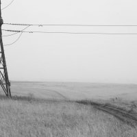 Энергия движения :: Евгений Виличинский