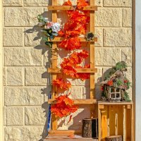 Осенний интерьер :: Валерий Иванович Осенний интерьер :: Валерий Иванович