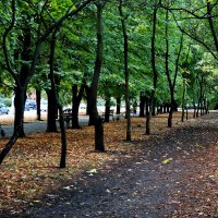 Осень в городе... :: Николай Саржанов
