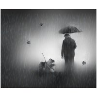 кажется лето закончилось... :: старик 