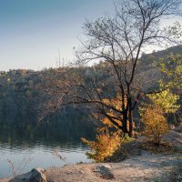 Осень :: Светлана Ищенко