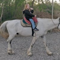 На коне... :: Андрей Хлопонин