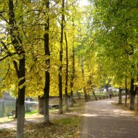 Осенними аллеями :: Елена Семигина Осенними аллеями :: Елена Семигина