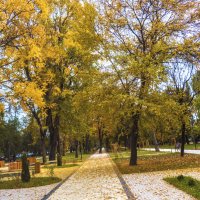 Осень на  бульваре  Ленина :: Валентин Семчишин