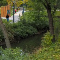 ***** :: юрий поляков