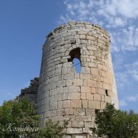 Природа Крыма :: Amazing Cosmea Природа Крыма :: Amazing Cosmea