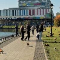 У пруда. :: Татьяна Помогалова