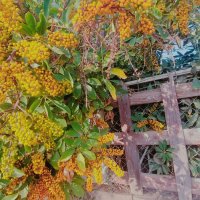 13  ОПЕН (454) :: OPEN WAYS ALL