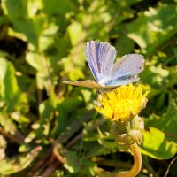 .. :: Андрей Катков