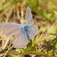 ..... :: Андрей Катков