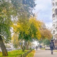 Осень золотая :: юрий Амосов Осень золотая :: юрий Амосов