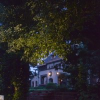 токио25 :: Алексей Короткевич