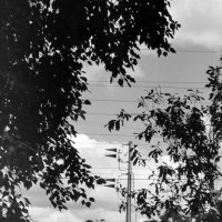 Фото на фотоплёнку с оранжевым фильтром :: Олег Зоркий Фото на фотоплёнку с оранжевым фильтром :: Олег Зоркий