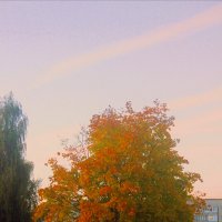 Осенний вечер :: Сергей Кочнев