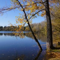 У пруда :: Наталия Григорьева