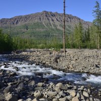 *** :: Александр Хаецкий