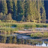 Про сентябрь :: Aquarius - Сергей Про сентябрь :: Aquarius - Сергей