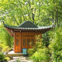 *** :: Witalij Löwin