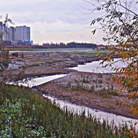 Октябрь...Река Юганская Обь обмелела! :: Владимир Октябрь...Река Юганская Обь обмелела! :: Владимир