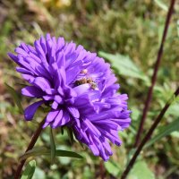 Владимирская область. Город Александров. Александровская Слобода. :: Наташа ***** Владимирская область. Город Александров. Александровская Слобода. :: Наташа *****