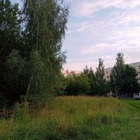 Август. :: Владимир Драгунский Август. :: Владимир Драгунский