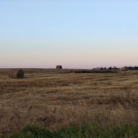 Поле у д.Выскодь :: Артем 
