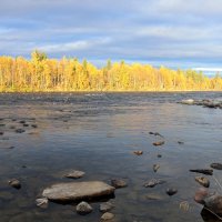 На Пиренге :: Ольга 