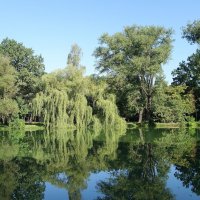 Сентябрьский пейзаж :: Рита Симонова