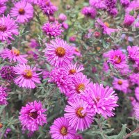 ,,, :: Сергей Тимоновский