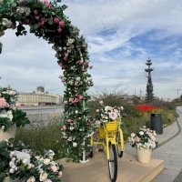 Осенний вайб :: Анна Камс