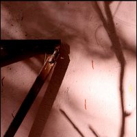 Розовая стена :: Сергей Премонишын