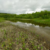 По Косьве... :: Николай Гирш