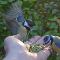 Ужин на двоих. :: Надежда 