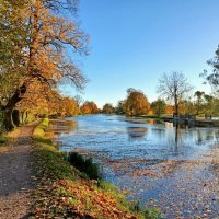 Золото осени. :: Лия ☼