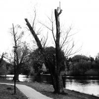 Обнажённые. :: Василий Палий